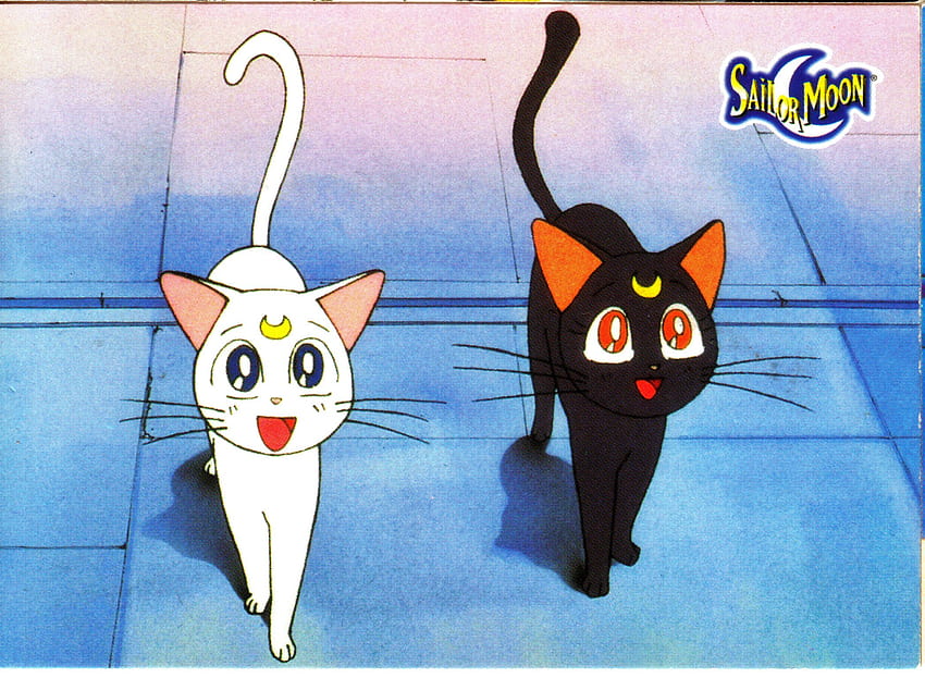 Bishoujo Senshi Sailor Moon (Pretty Guardian Sailor Moon) Anime Board, Sailor Moon Cat HD wallpaper
