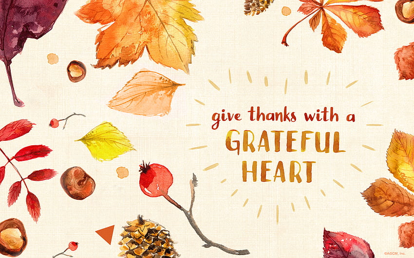 Bon mois de novembre! (Numérique) - Salutations américaines, Pinterest Hello November Fond d'écran HD