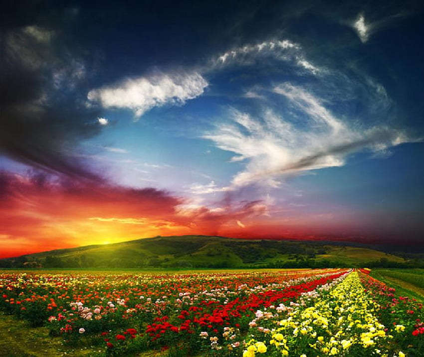 colorful fields, colorful, sunsets, green, yellow, red, fields, clouds, flowers, sky HD wallpaper
