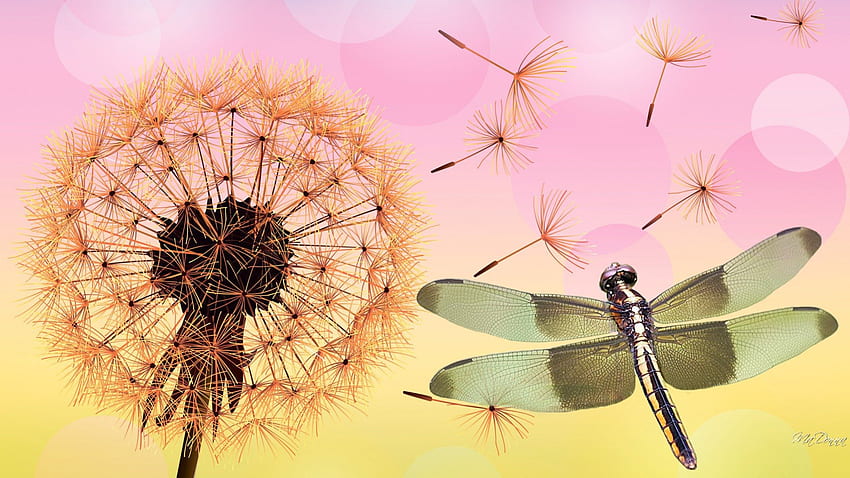 Dandelion and Dragonfly, pastel, fluff, seeds, dandelion, fall, summer, pink, dragonfly, autumn, flowers, weed HD wallpaper