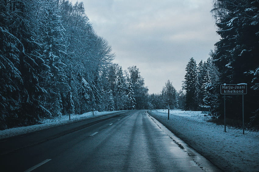 겨울, 자연, 나무, 도로, 회전 HD 월페이퍼