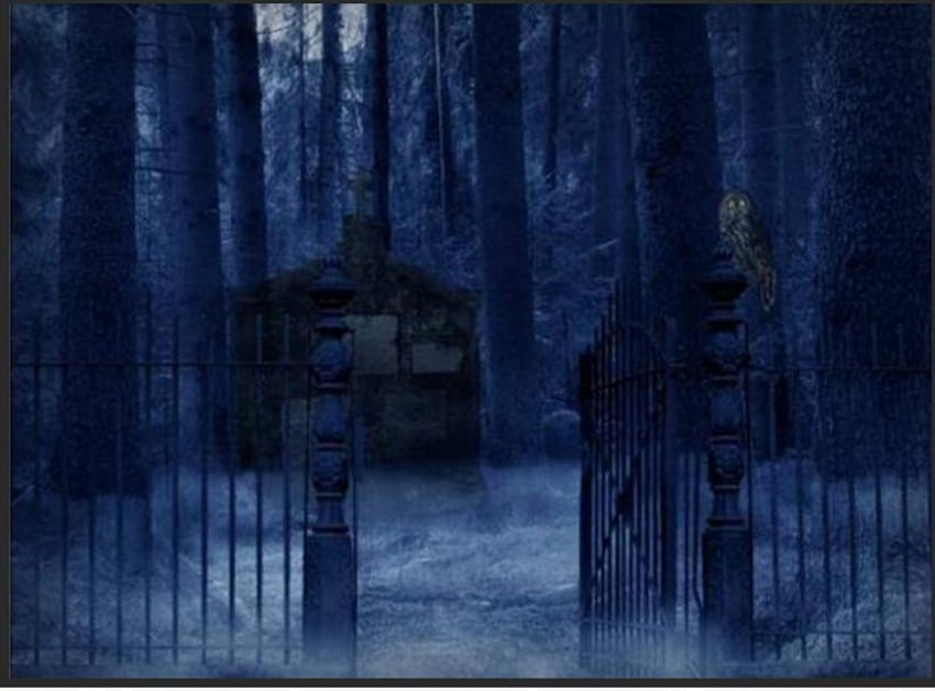 Kegelapan Mengintip, malam, kabut, ruang pemakaman, gerbang, kegelapan Wallpaper HD