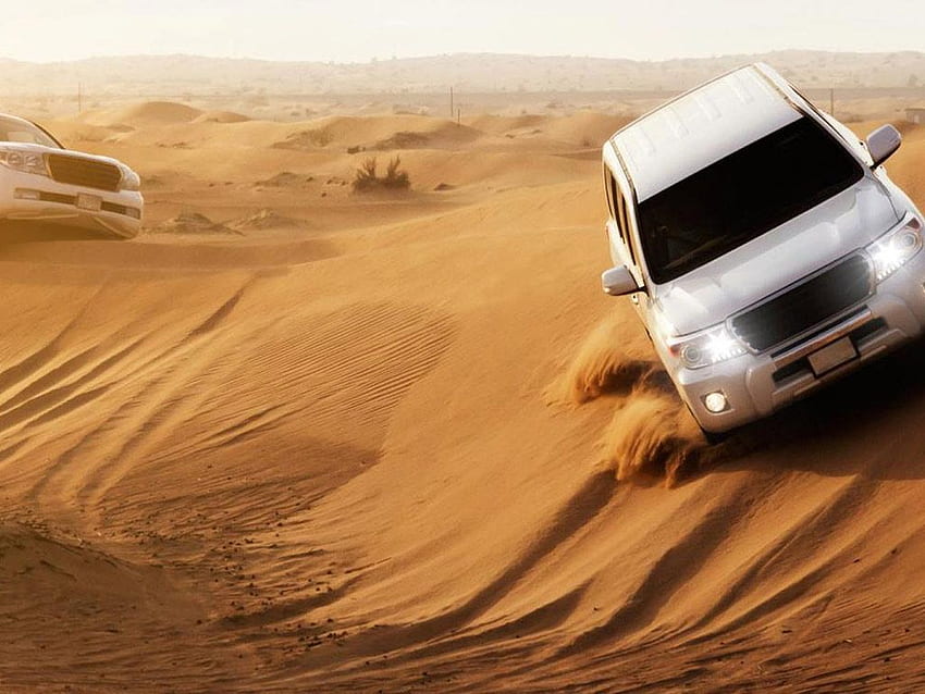 Safari dans les dunes du désert d'Arabie avec dîner. WISE - Faites du bien en voyageant Fond d'écran HD
