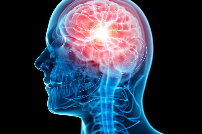 Meme Otak Akan Memperluas Pikiran Anda, Galaxy Brain Wallpaper HD