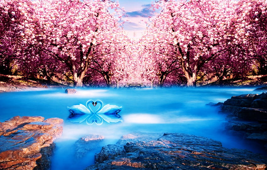 ★Adorable Couple★, blue, beloved valentines, plants, reflections, scenery, animals, waterscapes, trees, couple, adorable, stock , exterior, resources, attractions in dreams, beautiful, rocks, backgrounds, creative pre-made, love four seasons, lakes, swans, pink, nature, flowers, swan, lovely HD wallpaper