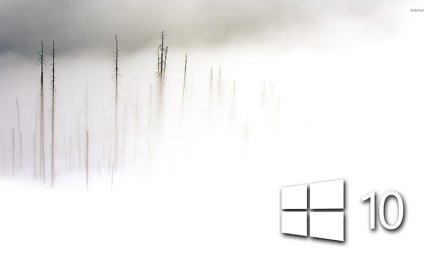Windows 10 in the foggy winter day simple white logo - Computer , Simple White HD wallpaper