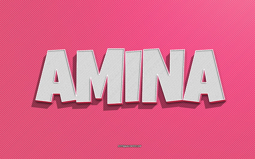 Amina, linee rosa, con nomi, nome Amina, nomi femminili, biglietto di auguri Amina, line art, con nome Amina Sfondo HD