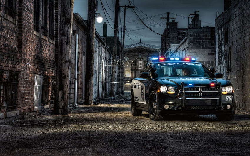 dodge charger police cruiser r, night, side street, city, lights, car, r, police HD wallpaper