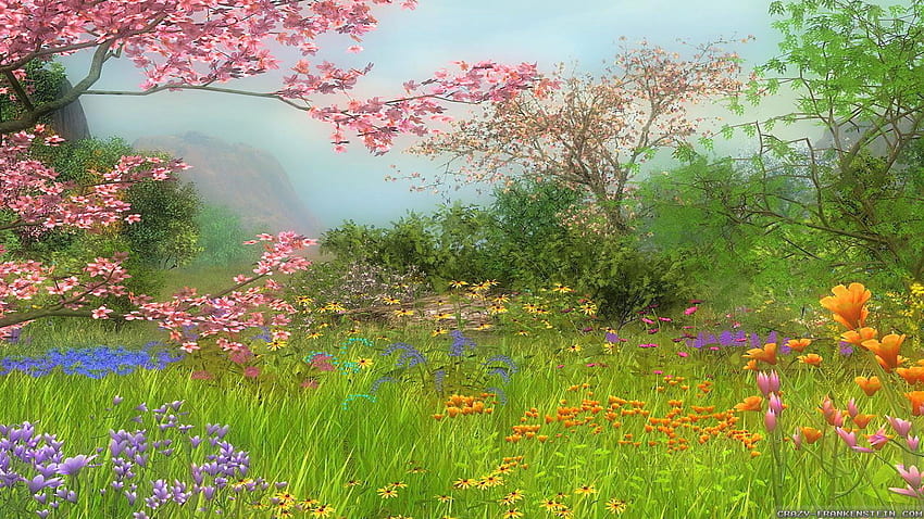 Spring Nature, trees, meadow, flowers, blossoms, wildflowers HD wallpaper