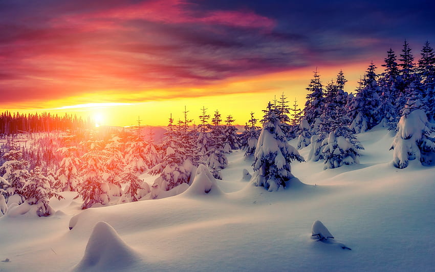 Zima, biel, kraj, śnieg, drzewa, przyroda, niebo, góry, czas zimowy, zachód słońca Tapeta HD