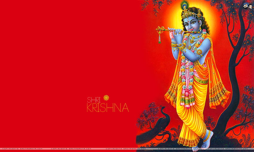 Cartões de boas-vindas do Senhor Krishna em tamanho real para Facebook Janmashtami, Senhor Krishna PC papel de parede HD