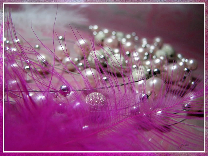 Opulence, glamour, beads, beautiful, jewelry, pink, feather, pretty, pearls, dainty HD wallpaper