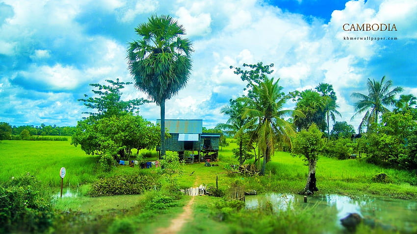 Cambodia countryside II, Khmer Countryside HD wallpaper