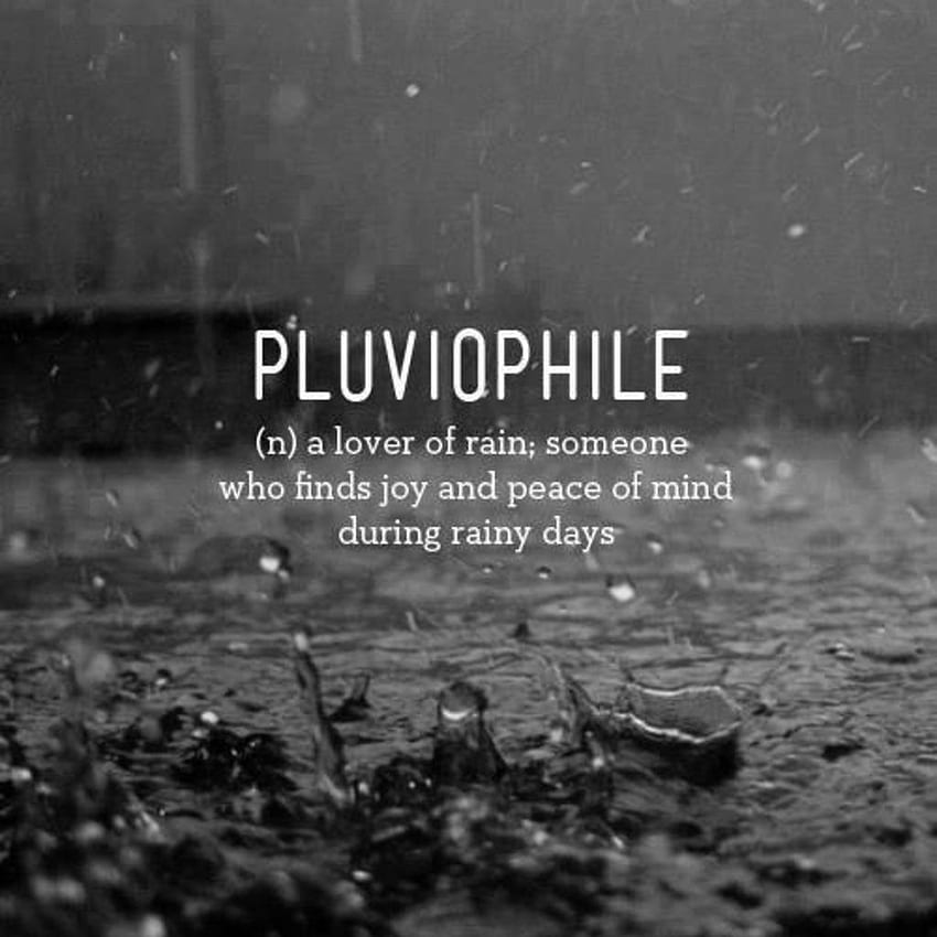 Quotes about Rainy Night (22 quotes), Quotes Rainy Days HD phone wallpaper