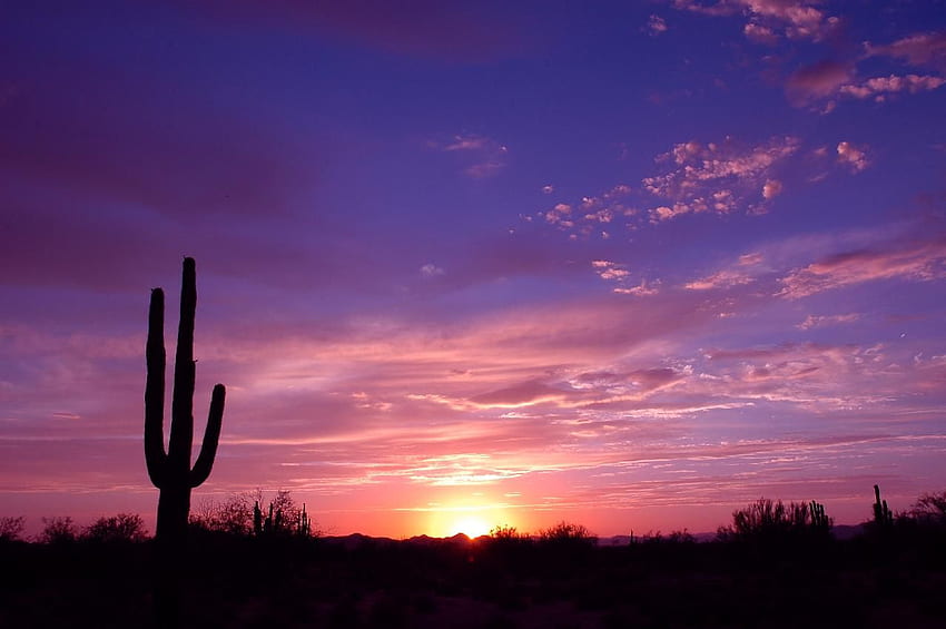 Arizona Sunset & Arizona Sunrise, Arizona Desert Sunset HD wallpaper