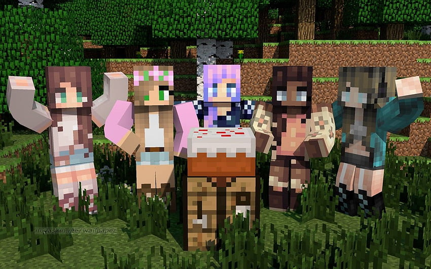Nova Skin Minecraft Girls, Girly Minecraft HD wallpaper