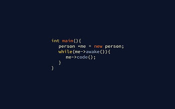 Programmer , Funny Coding HD wallpaper