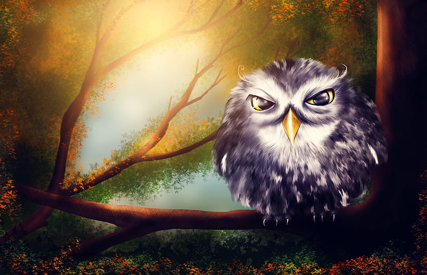 Art, Owl, Bird, Branches HD wallpaper