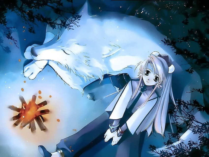 Cuando un guardia del complejo se dirigió a él, un lobo se paró al frente, Anime Wolf Girl fondo de pantalla