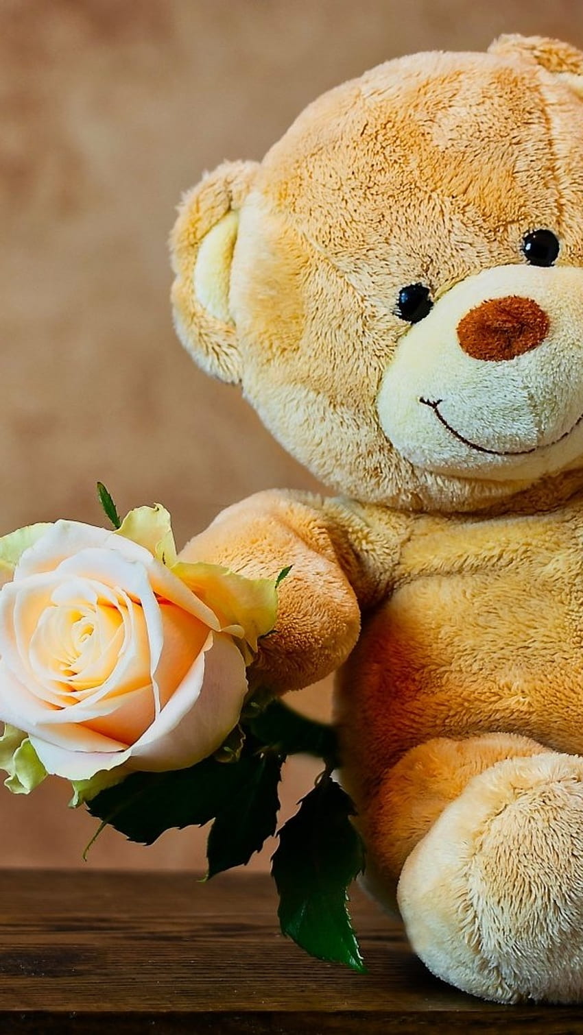 Cute Teddy Bear, Cute Smile, yellow rose HD phone wallpaper