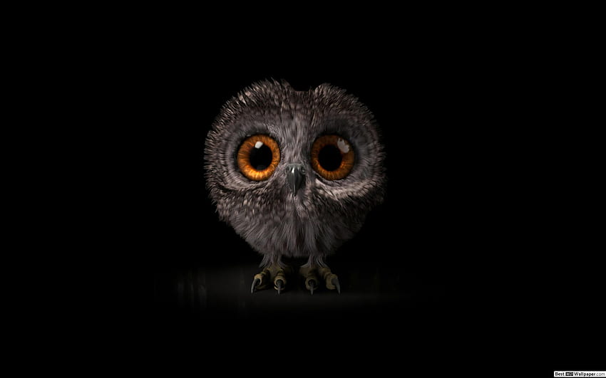 Tiny Owl, Owl Geometric HD wallpaper