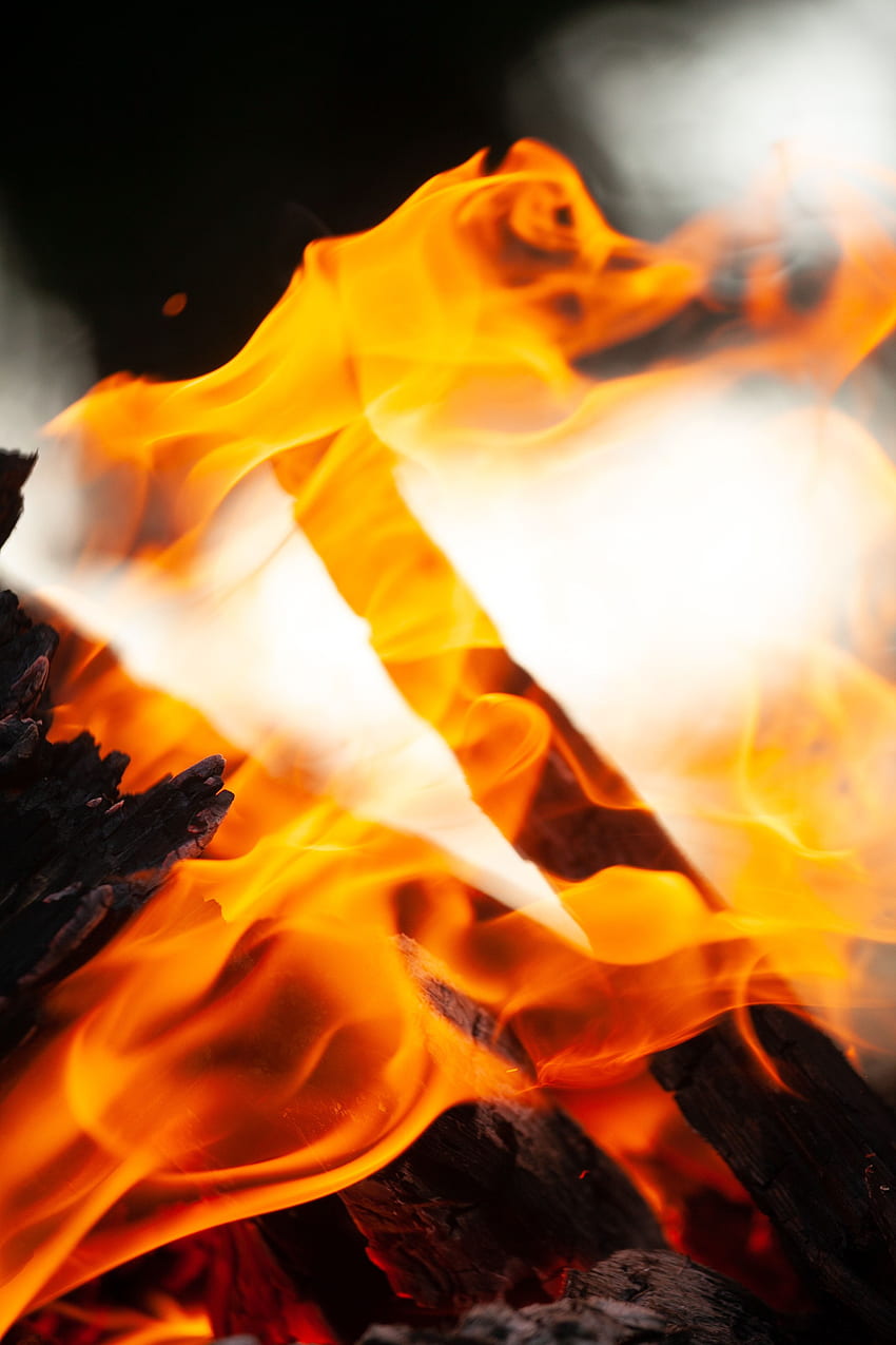 火、たき火、石炭、マクロ、炎、薪、灰 HD電話の壁紙
