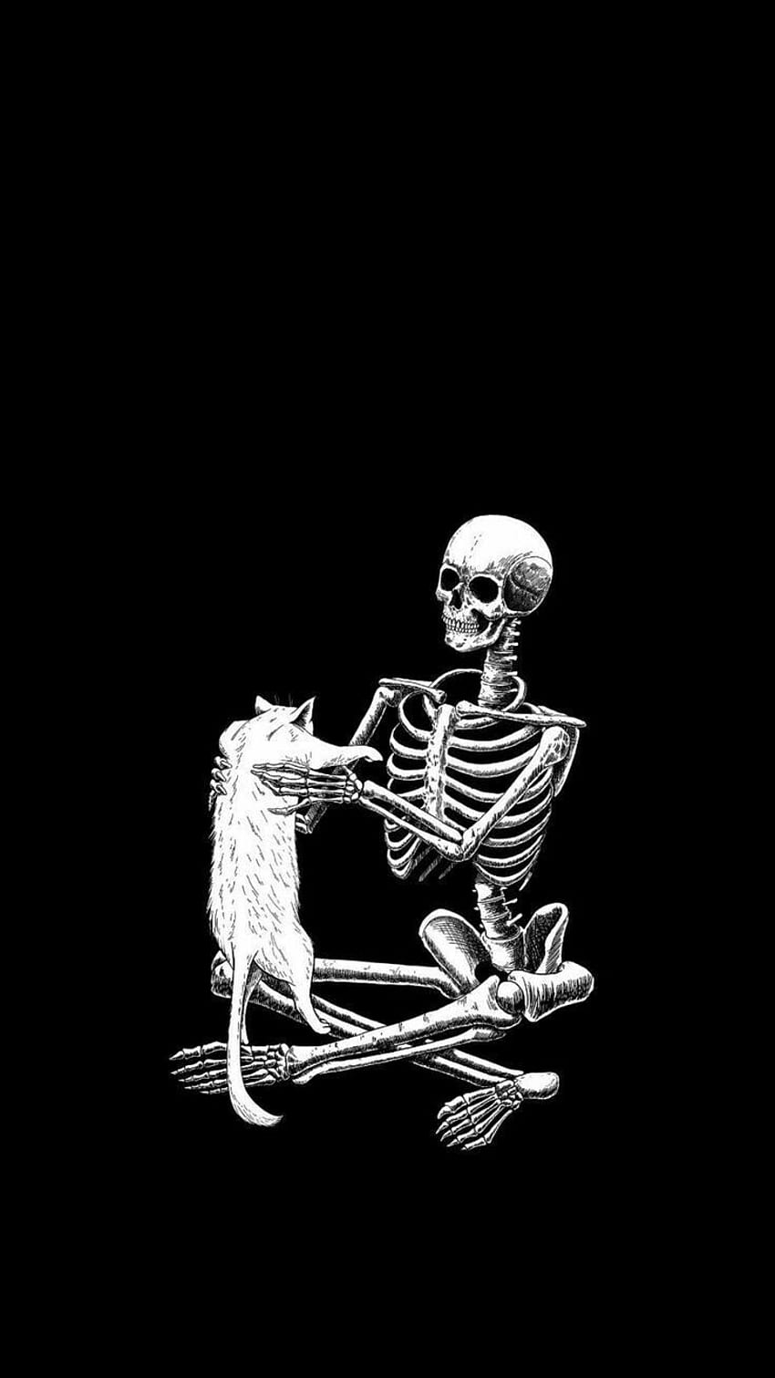 Dead cat, esqueleto HD phone wallpaper