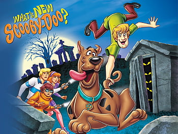 Scooby Doo HD phone wallpaper | Pxfuel