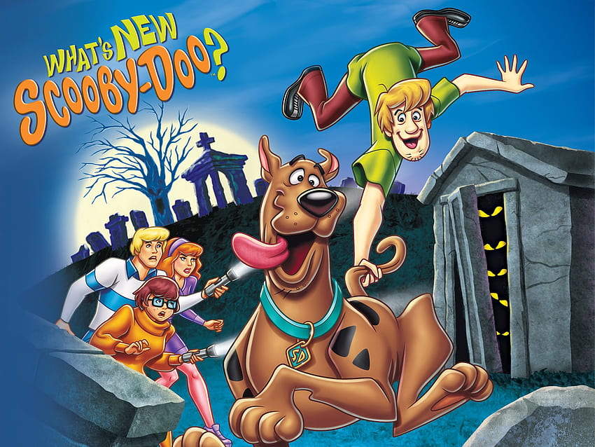 Obejrzyj Co nowego w Scooby Doo?: Cały trzeci sezon, Scooby Doo na Boże Narodzenie Tapeta HD