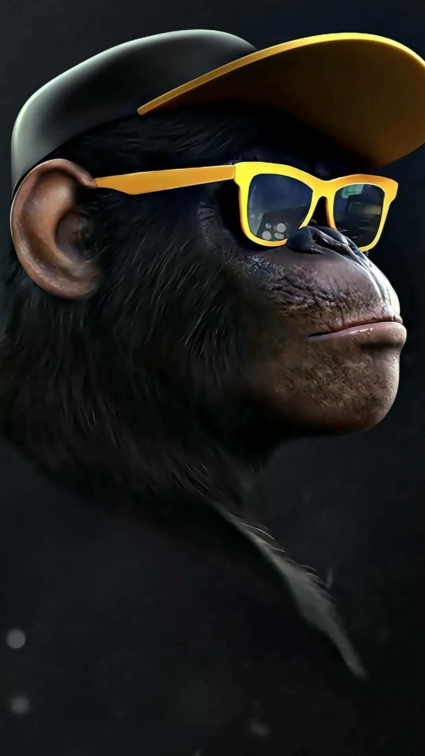 Pin em Primates, Macacos Papel de parede de celular HD