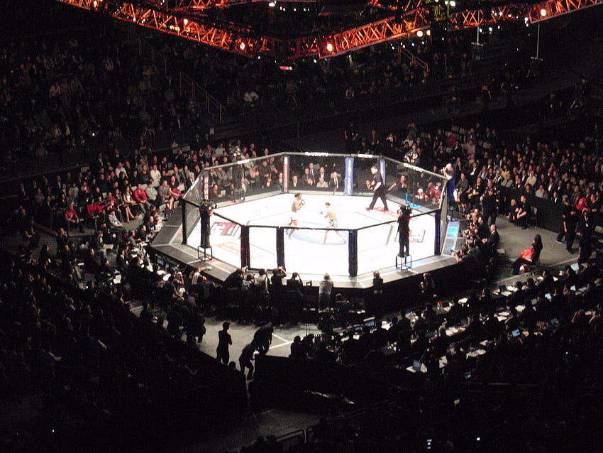 MMA Octagon (Page 1), UFC Cage HD wallpaper