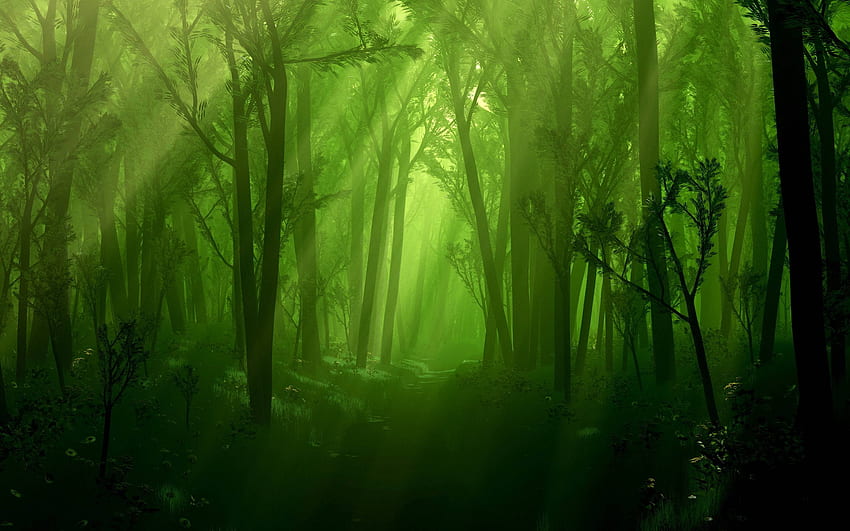 Enchanted Forest Background, Dark Enchanted Forest HD wallpaper