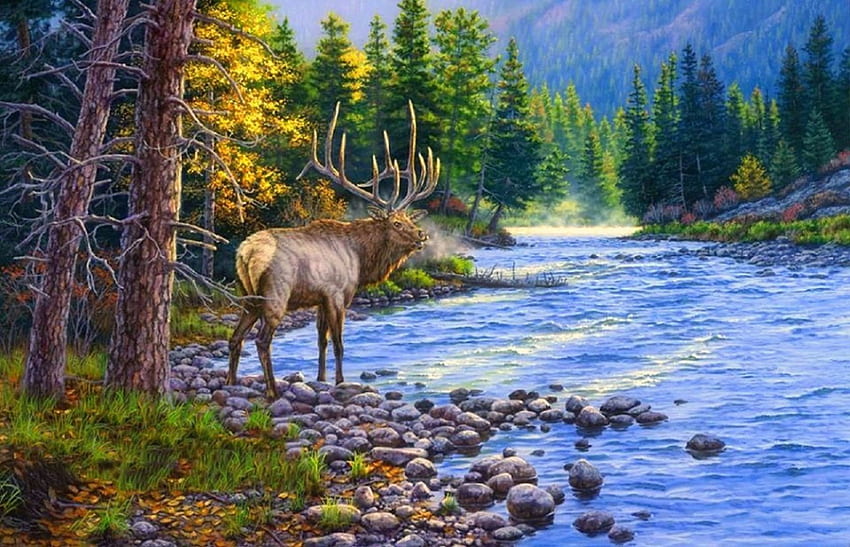 Trophy in the Canyon, falls, colors, forests, paintings, beautiful, love four seasons, reindeer, trees, autumn, nature, rivers HD wallpaper