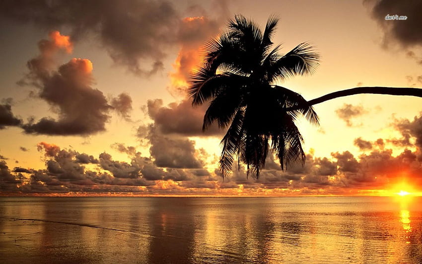 Hawajski Zachód Słońca, Hawaje, Zachód Słońca, Ocean, Plaża, Tropiki Tapeta HD
