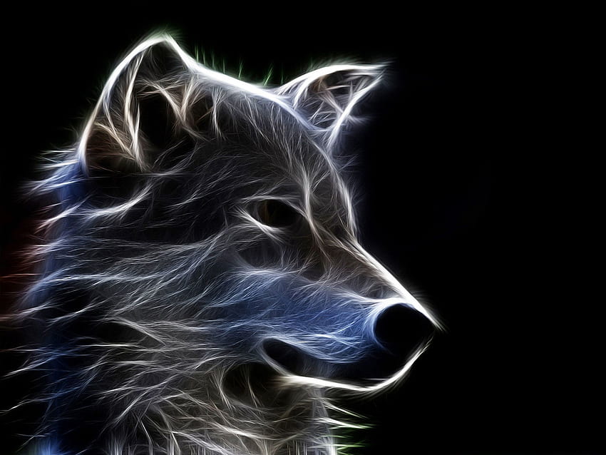 Wolf 3D, Geometric Animal Wolf HD wallpaper
