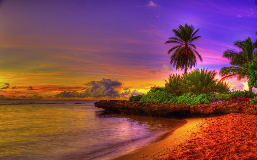Тропически плаж Тропически плаж, Тропически плажни сцени HD тапет