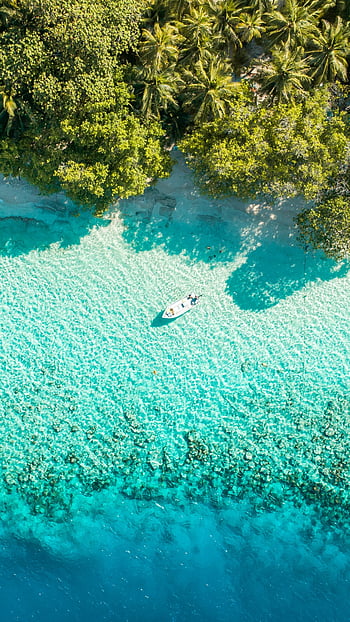 Du lịch Maldives: Nếu bạn đang tìm kiếm trải nghiệm du lịch đẳng cấp và tuyệt đẹp, Maldives sẽ là điểm đến lý tưởng cho bạn. Những hình ảnh Maldives tuyệt đẹp này sẽ giúp bạn trải nghiệm những kỉ niệm vô cùng tuyệt vời và đáng nhớ.