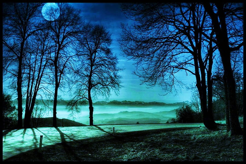 Szepty nocy, nocy, błękitu, księżyca, drzew, spokoju, spaceru Tapeta HD