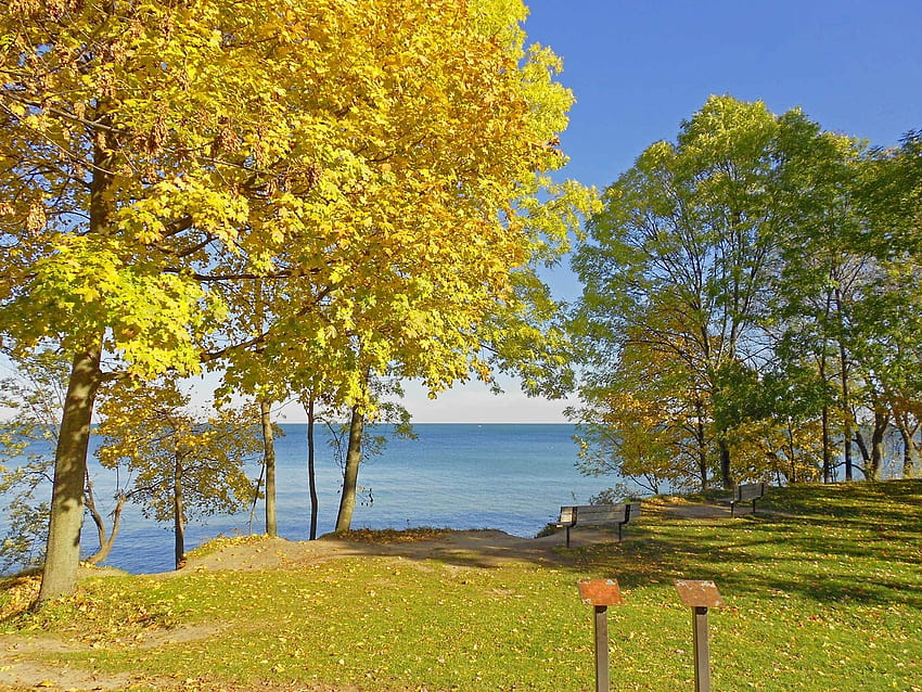Landscape, Nature, Autumn, Polyana, Glade, Benches, Canadian Coast HD wallpaper