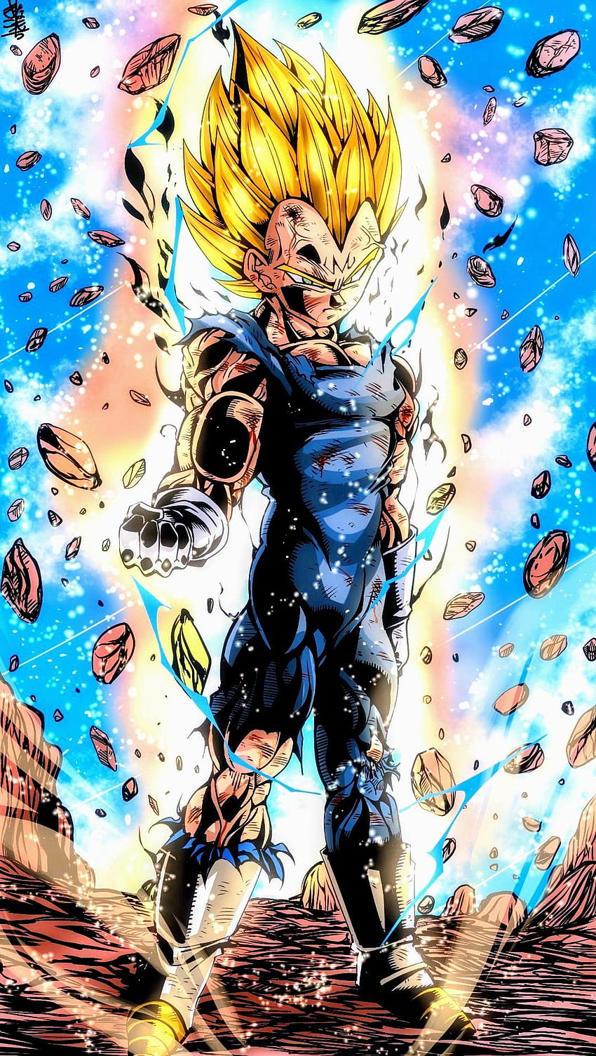 Vegeta..  Dragon ball art, Dragon ball artwork, Anime dragon ball