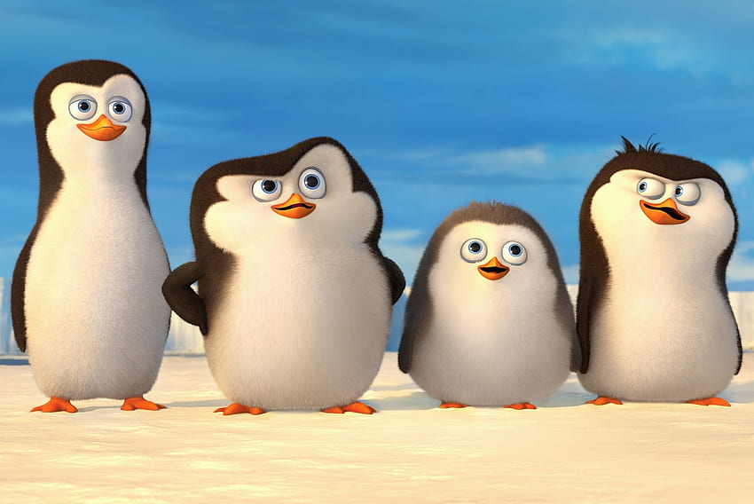 Pingwiny z Madagaskaru, ptaki, pingwiny, madagaskar, woda, lód Tapeta HD