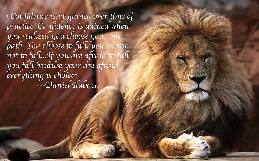 Löwenzitate und . QuotesGram, Lion Motivation Bibel HD-Hintergrundbild