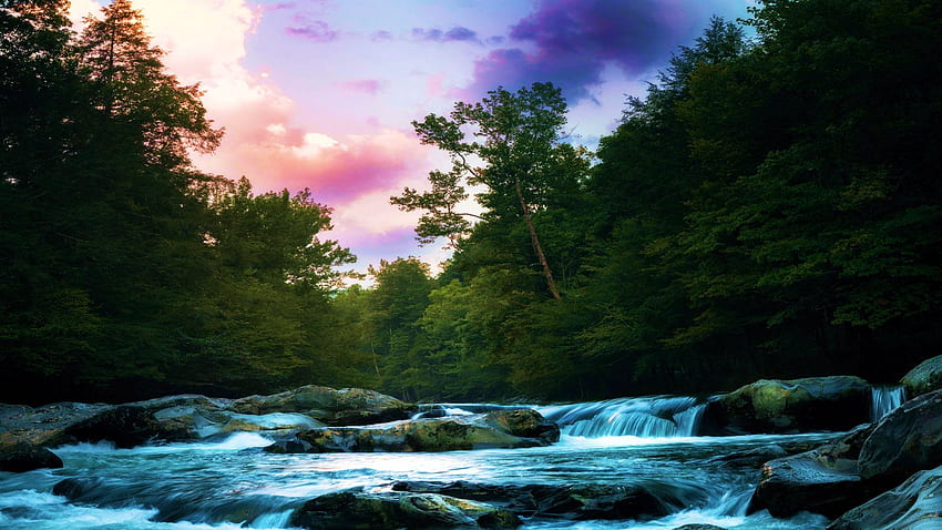 Soirée Great Smoky Mountains à Greenbrier, rivière, Virginie-Occidentale, arbres, États-Unis, rochers, pierres Fond d'écran HD