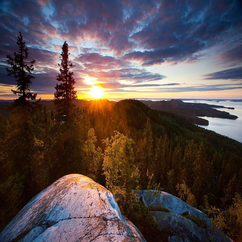 National park Koli. Finland. Travelling. Suomi HD phone wallpaper