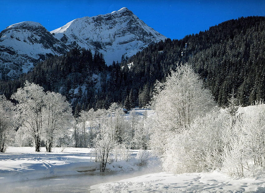 Живописен снеговалеж. Коледен фон със снеговалеж, снеговалеж и фон със снеговалеж, снежен пейзаж HD тапет