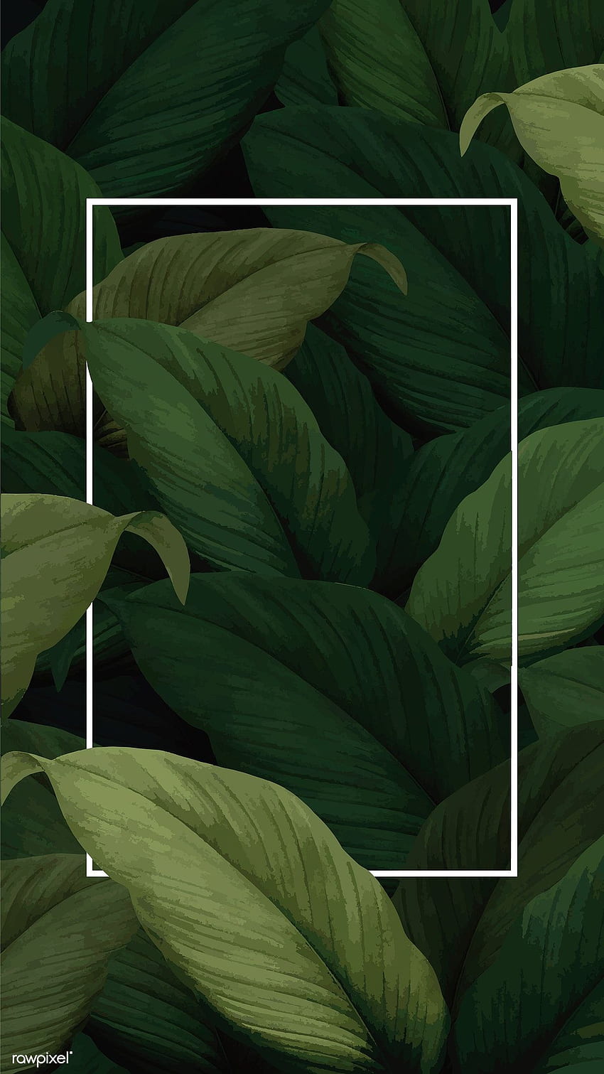 Шаблонен вектор със зелени тропически листа, iphone и мобилен телефон. премия от rawpixel.. Тропически листа, модел на Instagram, модел на листа HD тапет за телефон