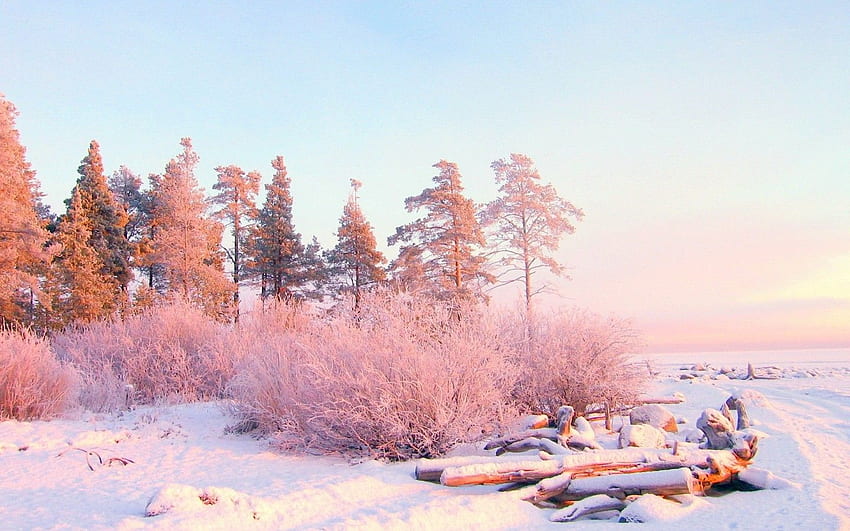 Енциклопедия Естествен естетичен сняг - декември, декемврийска природа HD тапет