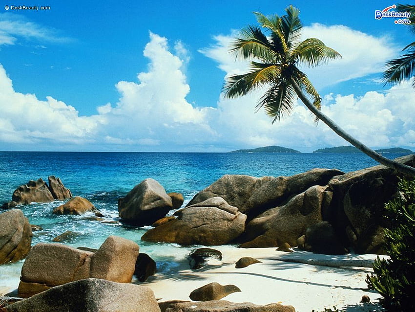 Amazon.com: Wallpaper 3D Beach Sea View Wallpapers for Bedroom TV  Background Wall Mural : Everything Else