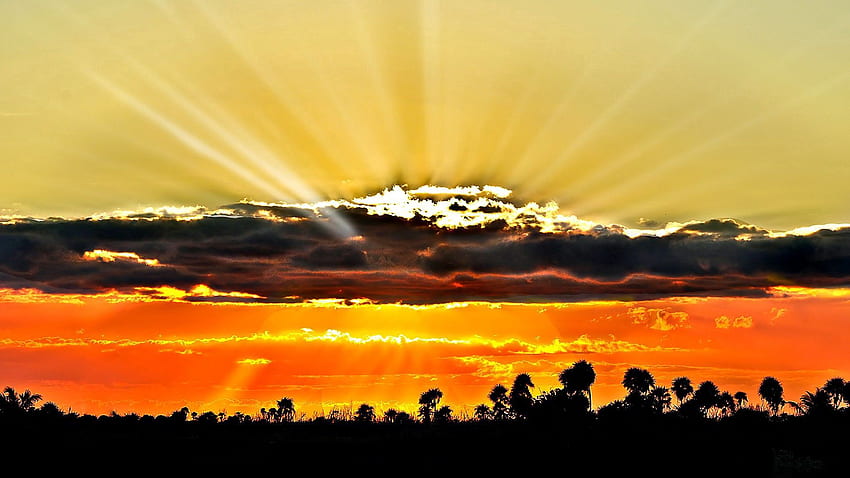 ธรรมชาติ ต้นไม้ พระอาทิตย์ตก ท้องฟ้า ดวงอาทิตย์ ขอบฟ้า รังสี คาน โครงร่าง วอลล์เปเปอร์ HD