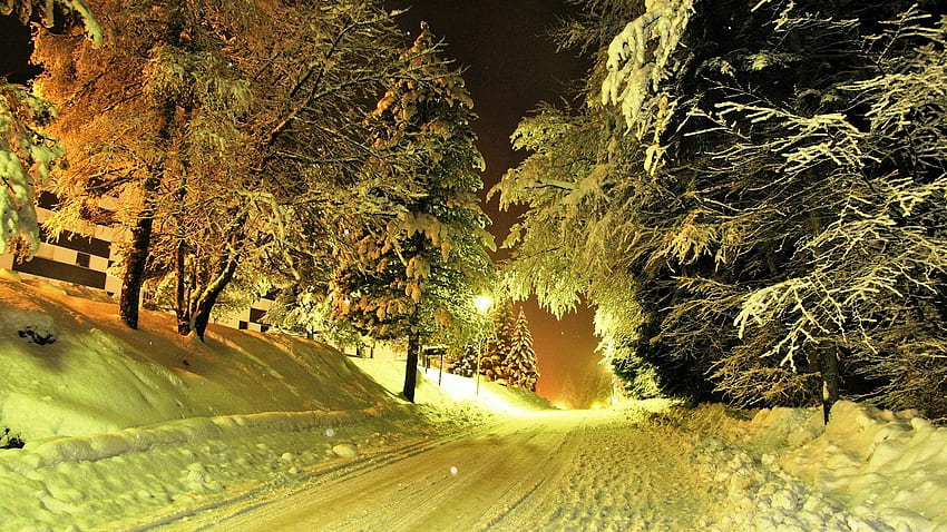 Estrada de inverno à noite, inverno, neve, estrada, noite, árvore papel de parede HD